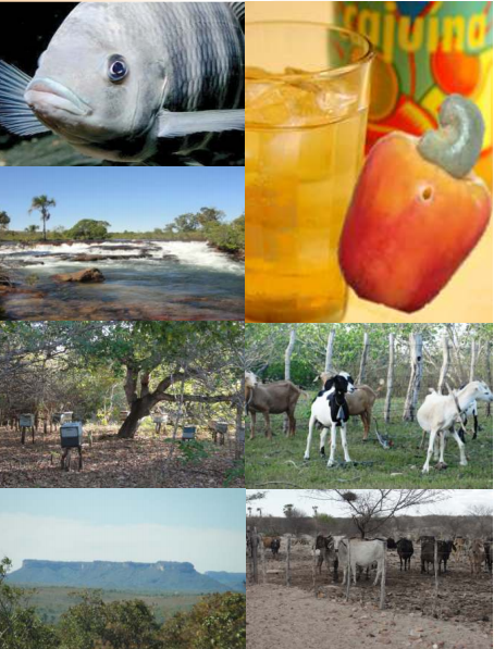 Plano de Ação Integrada e Sustentável da Mesorregião da Chapada das Mangabeiras — foto 2