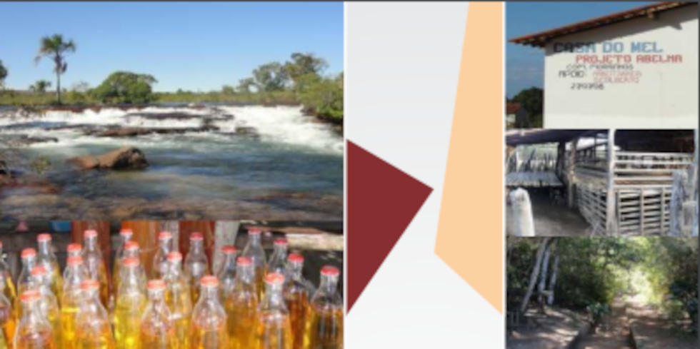 Plano de Ação Integrada e Sustentável da Mesorregião da Chapada das Mangabeiras — foto 4