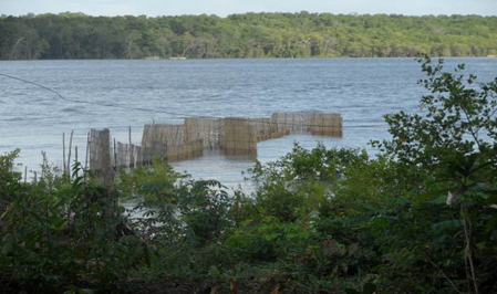 Diagnóstico socioambiental para criação e ampliação de RESEX no Salgado Paraense — foto 4