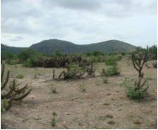 ZEE das Áreas Susceptíveis à Desertificação — Núcleo Irauçuba/Centro Norte (CE) — foto 5