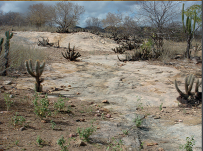 ZEE das Áreas Susceptíveis à Desertificação — Núcleo Irauçuba/Centro Norte (CE) — foto 7
